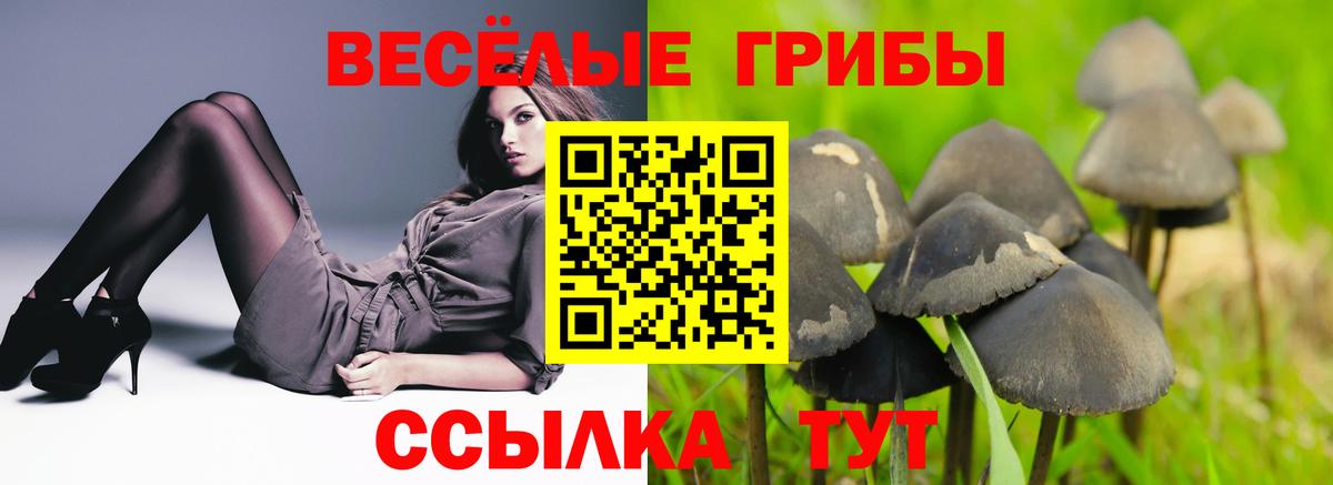 Электросталь  Галлюциногенные грибы ЛСД  Вход с VPN  Галлюциногенные грибы Psilocybine cubensis 